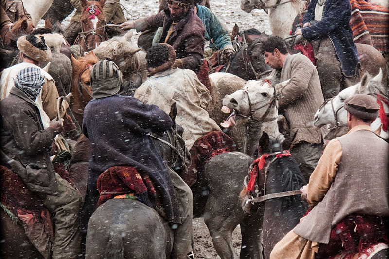 Une vue du Cheval Afghan avec un cavalier sur son dos, Bouzkashi
