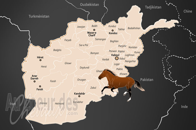 L'Afghanistan, entre tradition guerri�re, n�cessit� vitale et h�ritage culturel