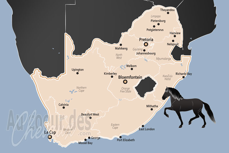 L'Afrique du Sud, patrimoine historique, �levage de prestige et d�fis sanitaires
