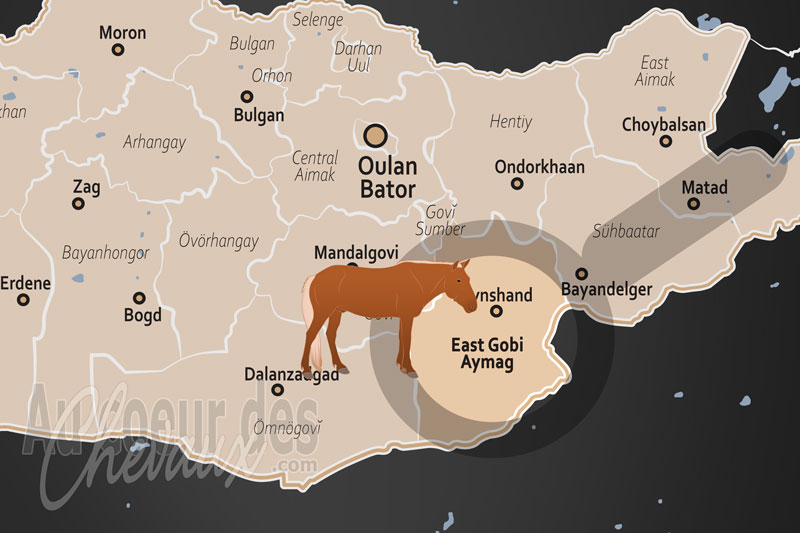 L'A�mag de Dornogovi, le cheval au c?ur de la survie en milieu d�sertique