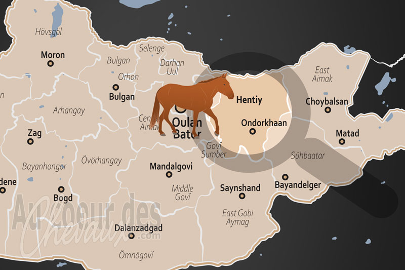 L'A�mag de Khentii, le berceau spirituel et l'�lite du cheval mongol