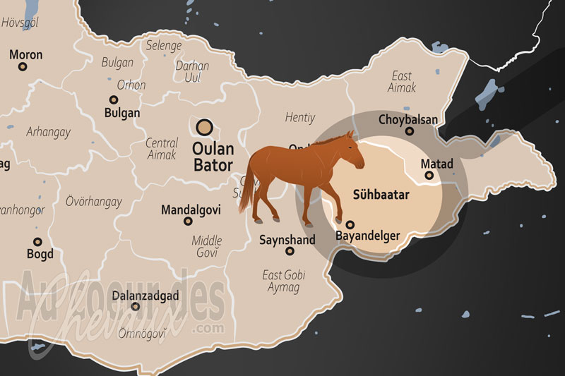 L'A�mag de S�khbaatar, la terre de la vitesse et l'�lite de la steppe orientale