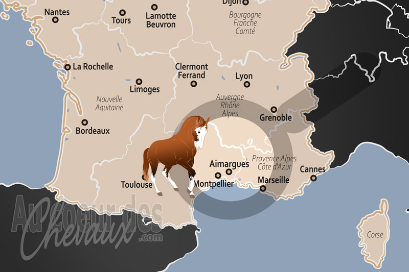 Aimargues, terre d'�quilibre entre le cheval camargue et l'h�ritage des manades