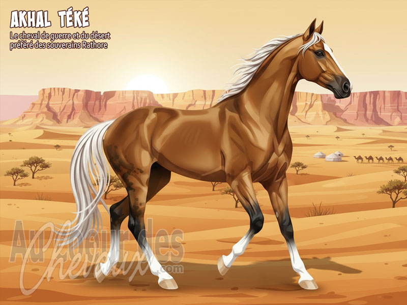 Le Cheval Akhal T�k�, le destrier d'or du d�sert turkm�ne