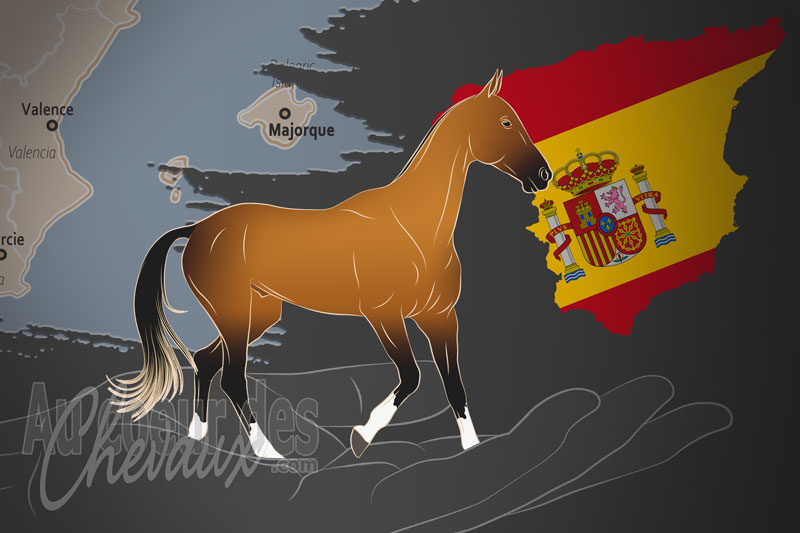 L'Akhal T�k� Espagne, une organisation qui g�re le cheval akhal t�k� en espagne