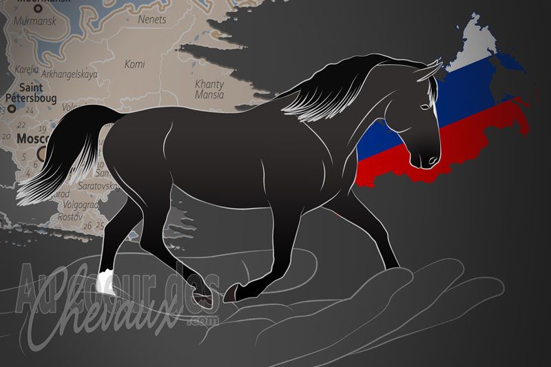 L'Institut Russe de Recherche Scientifique sur l'�levage de Chevaux, une organisation qui g�re le trotteur russe en russie