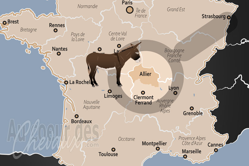 Le D�partement de l'Allier, vichy et l'excellence de la fili�re �quine en bourbonnais
