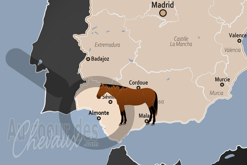 Almonte, l'�picentre de la culture �questre ancestrale et de la biodiversit� andalouse