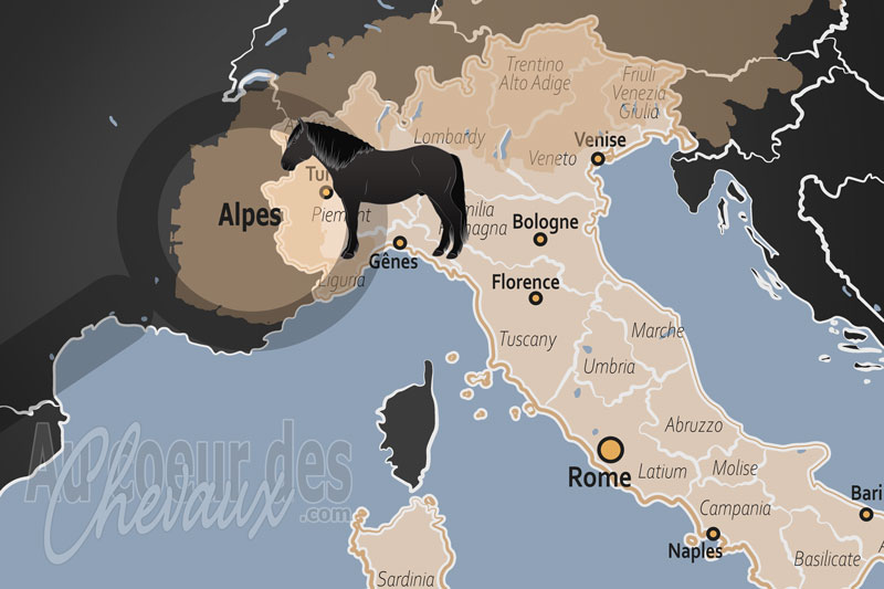 Les Alpes, l'�pop�e �questre au sommet de l'europe