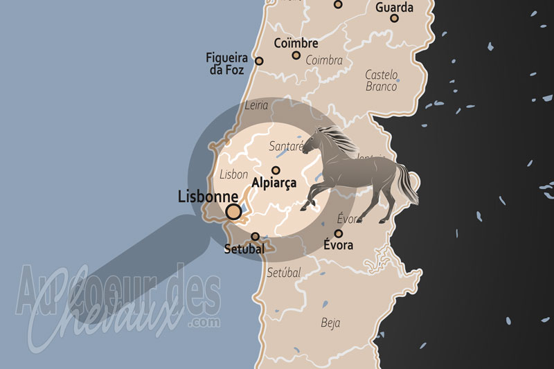 Alpiar�a, terre de tradition et berceau du cheval lusitanien au c?ur du ribatejo