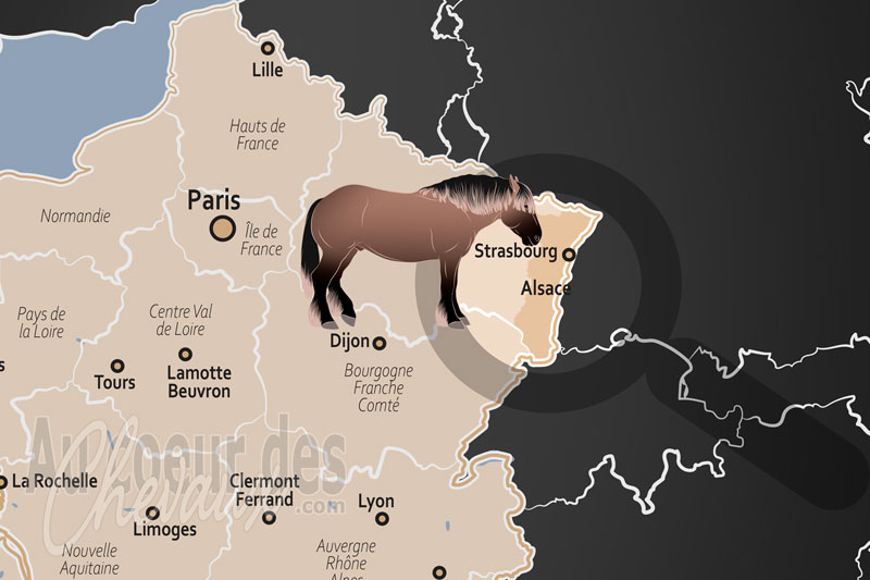 La localisation de l'Alsace en France