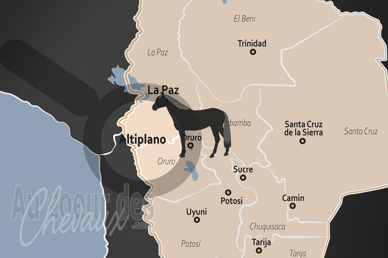 L'Altiplano, les centaures de l'oxyg�ne rare