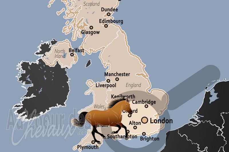 Alton, l'�l�gance �questre au c?ur du hampshire et des south downs
