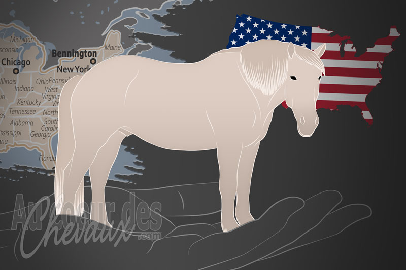 L'Association Am�ricaine des Chevaux de Trait Cr�me, un organisme de gestion du trait cr�me am�ricain aux �tats unis