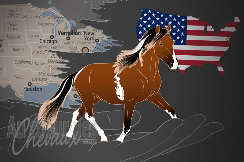 La Soci�t� Am�ricaine des Poneys Kerry Bog, un organisme de gestion du kerry bog aux �tats unis