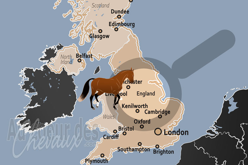 L'Angleterre, �picentre mondial de l'excellence �questre et du pur-sang