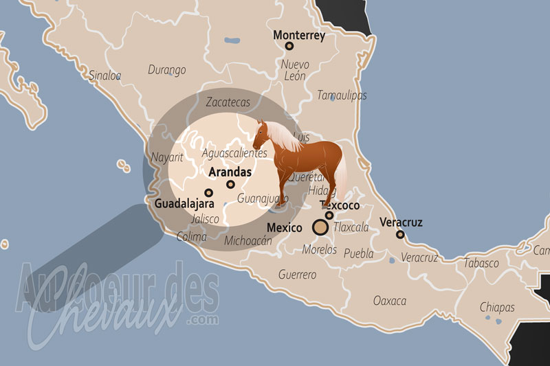 La localisation d'Arandas au Mexique
