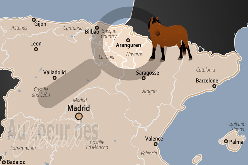 La localisation d'Aranguren en Espagne