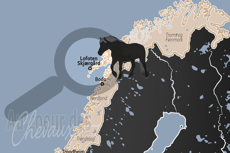 L'Archipel de Lofoten, r�silience et h�ritage au-del� du cercle polaire