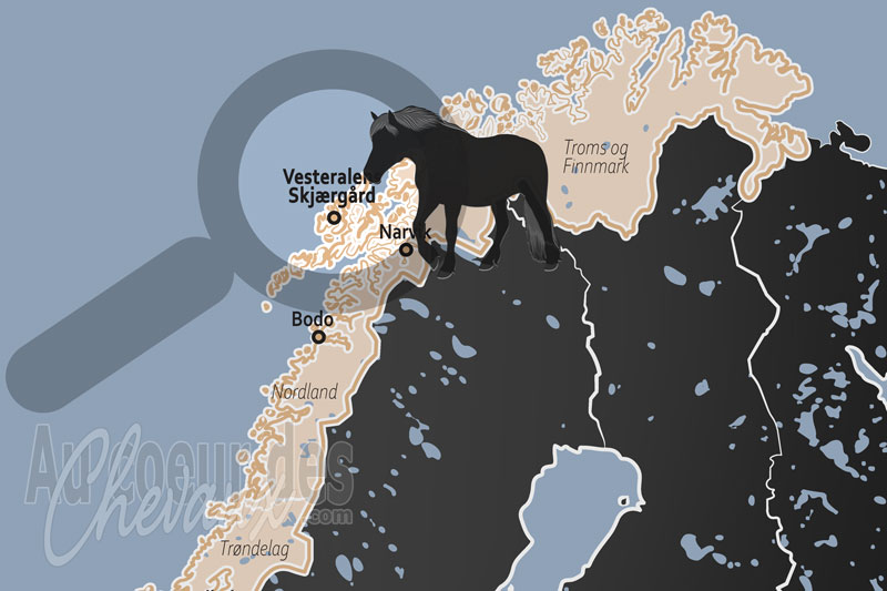 L'Archipel de Vesteralen, le nordlandshest, sentinelle �quine du cercle polaire