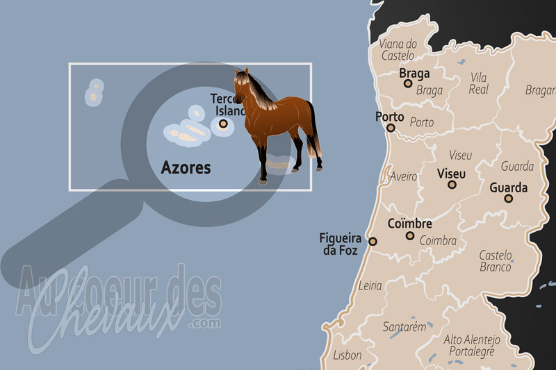 L'Archipel des A�ores, l'�quid� au c?ur de l'atlantique