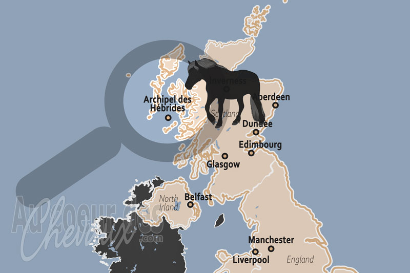 L'Archipel des H�brides, terre de r�silience et berceau des poneys insulaires