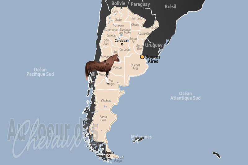 L'Argentine, l'�me de la pampa et l'excellence du polo