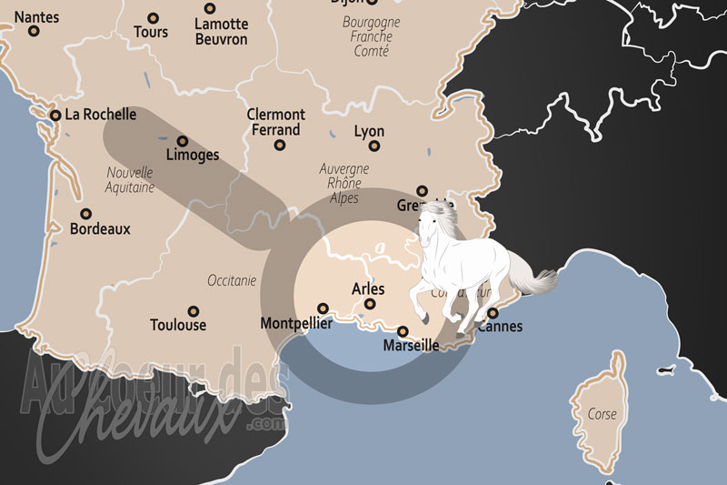 Arles, le cheval au c?ur de l'identit� et de l'�cosyst�me proven�al