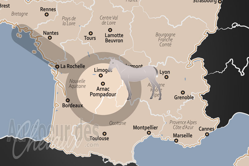 Arnac Pompadour, la cit� du cheval et le berceau de l'anglo-arabe