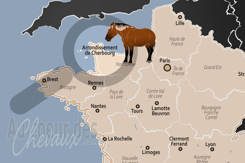 L'Arrondissement de Cherbourg, le cotentin, berceau d'excellence �quine