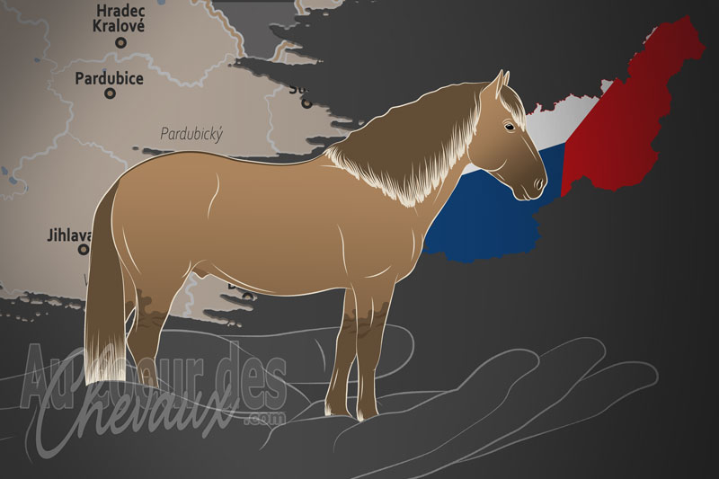 L'Association des �leveurs de Chevaux Hucul, un organisme de gestion du hu�ul en tch�quie