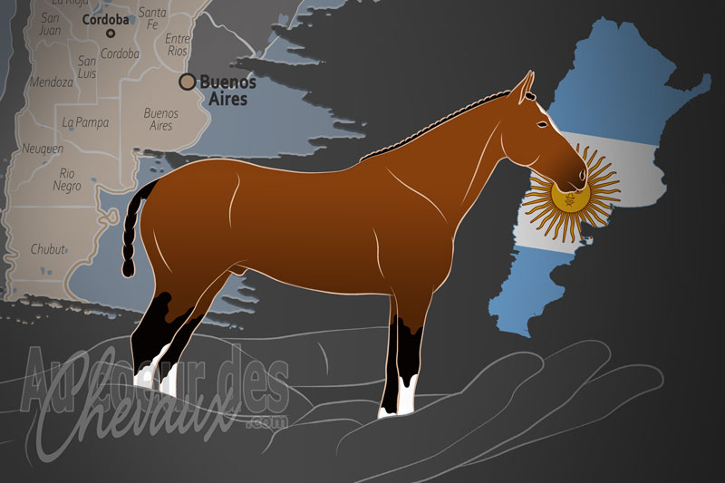 L'Association Argentine des �leveurs de Chevaux Polo Argentin, un organisme de gestion du polo argentin en argentine