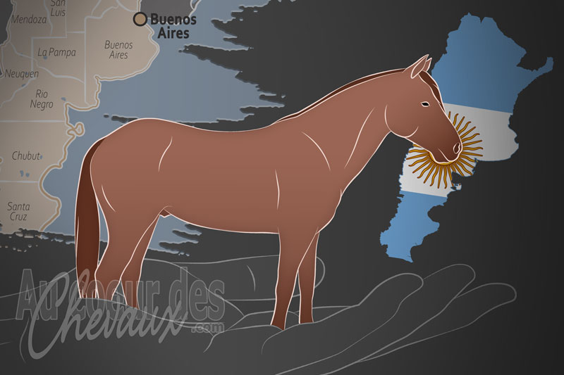 L'Asociaci�n Civil Criadores de Petisos un organisme de race en Argentine