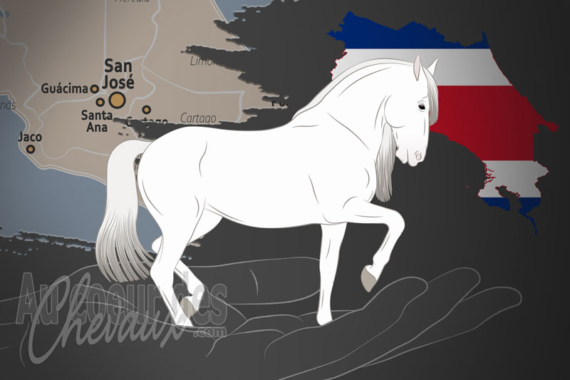 L'Asociaci�n Costarricense de Criadores de Caballos de Pre un organisme de race au Costa Rica