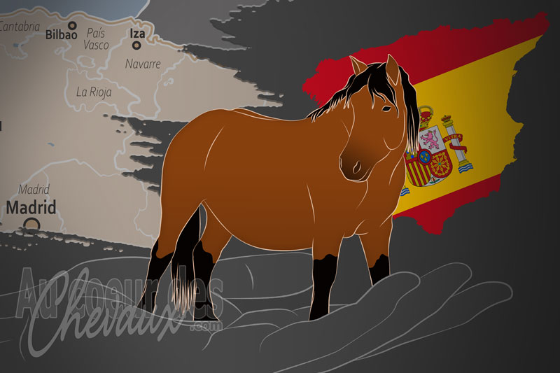 L'Association des �leveurs de Chevaux Jaca Navarra, un organisme de gestion du jaca navarra en espagne