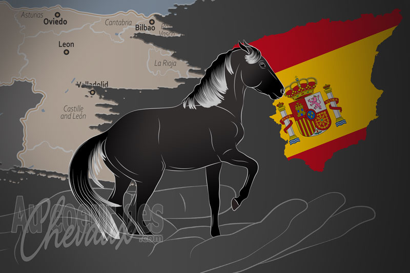 L'Association des �leveurs du Poney Astur�on, un organisme de gestion de l'astur�on en espagne