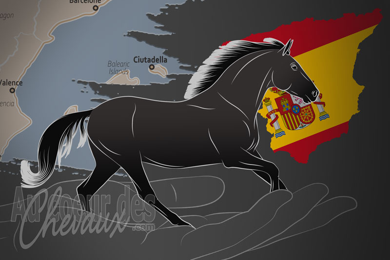L'Association des �leveurs et Propri�taires de Chevaux de Minorque, un organisme de gestion de race de chevaux en Espagne