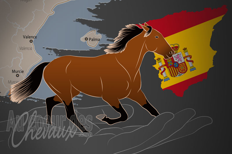 L'Association des �leveurs et Propri�taires de Chevaux Trotteurs, un organisme de gestion du trotteur espagnol en espagne