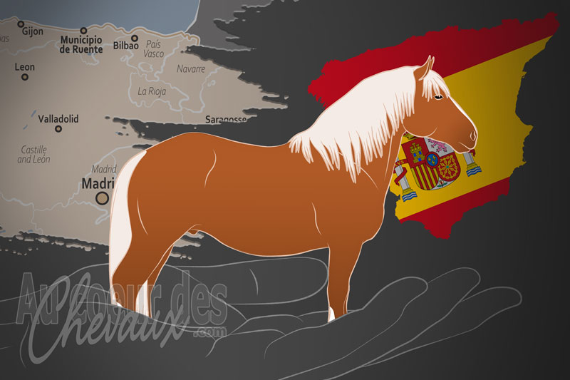 L'Asociaci�n del Caballo Hispano Bret�n un organisme de race en Espagne