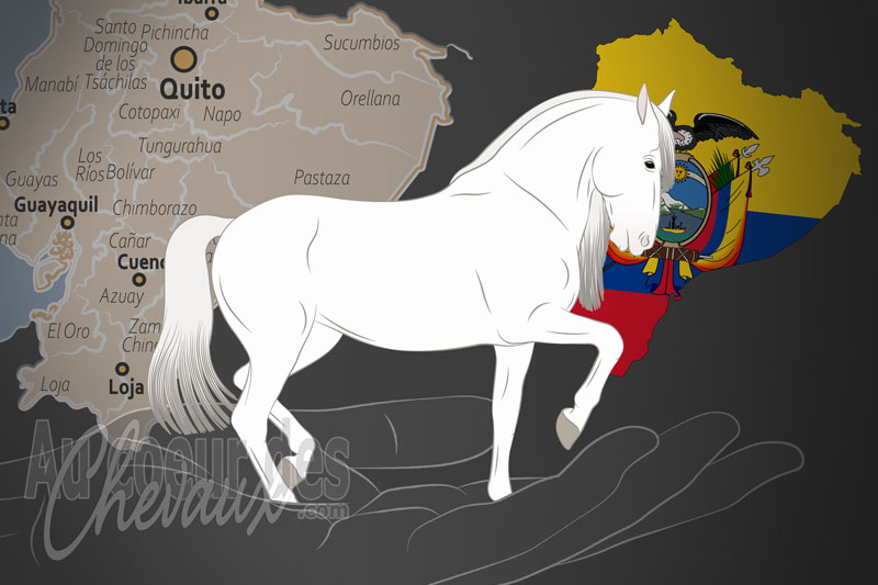 L'Asociaci�n Ecuatoriana Criadores de Caballos de Pre un organisme de race en �quateur