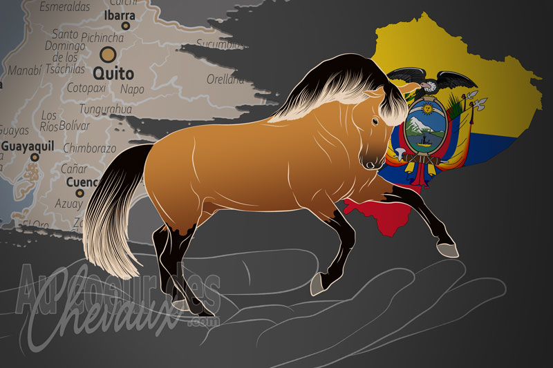 L'Asociaci�n Ecuatoriana de Pato Sangre Lusitano Horse Breeders un organisme de race en �quateur
