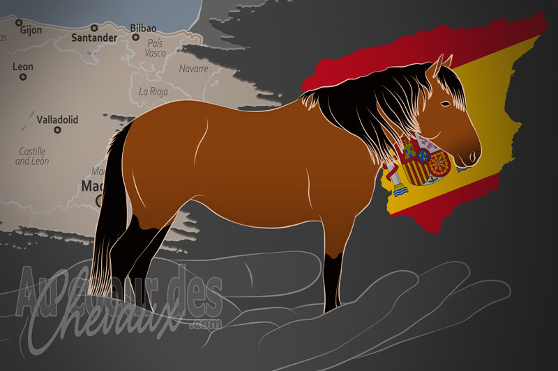 L'Asociaci�n Espa�ola de Criadores de Ganado Equino de Raza Monchina un organisme de race en Espagne