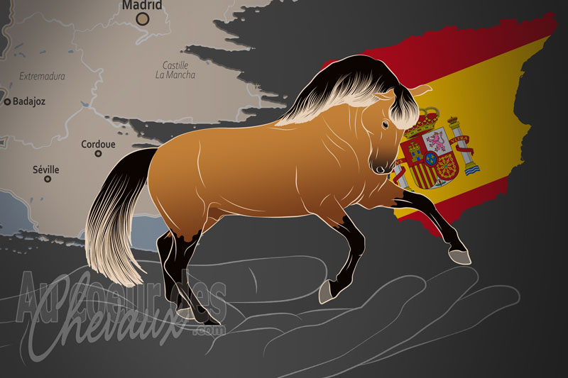 L'Asociaci�n Espa�ola Pura Sangre Lusitano un organisme de race en Espagne