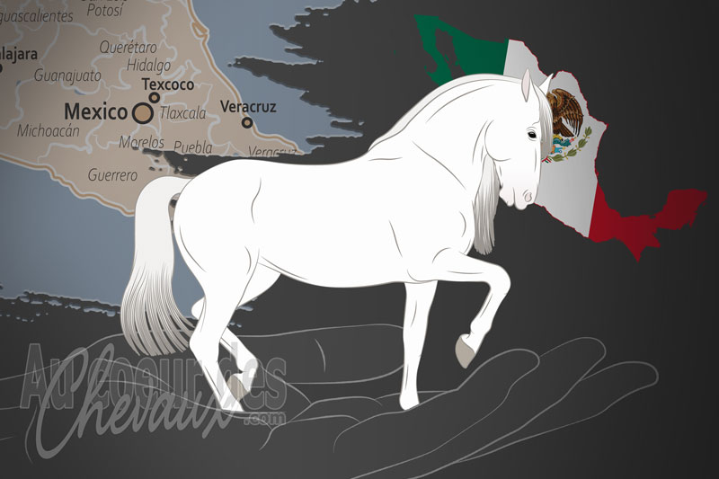 L'Association des �leveurs des Chevaux PRE du Mexique, un organisme de gestion du pure race espagnole au mexique
