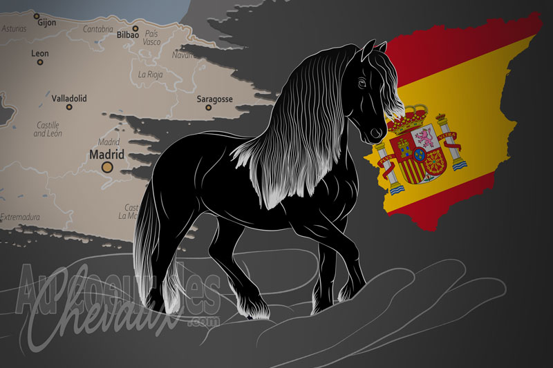 L'Association Nationale du Cheval Frison, un organisme de gestion du frison en espagne