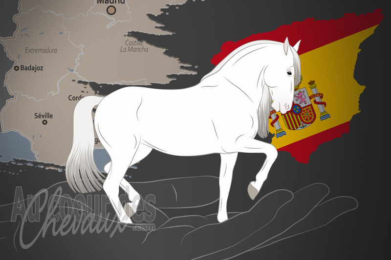 L'Association Nationale des �leveurs du Cheval Pure Race Espagnole, un organisme de gestion du pure race espagnole en espagne