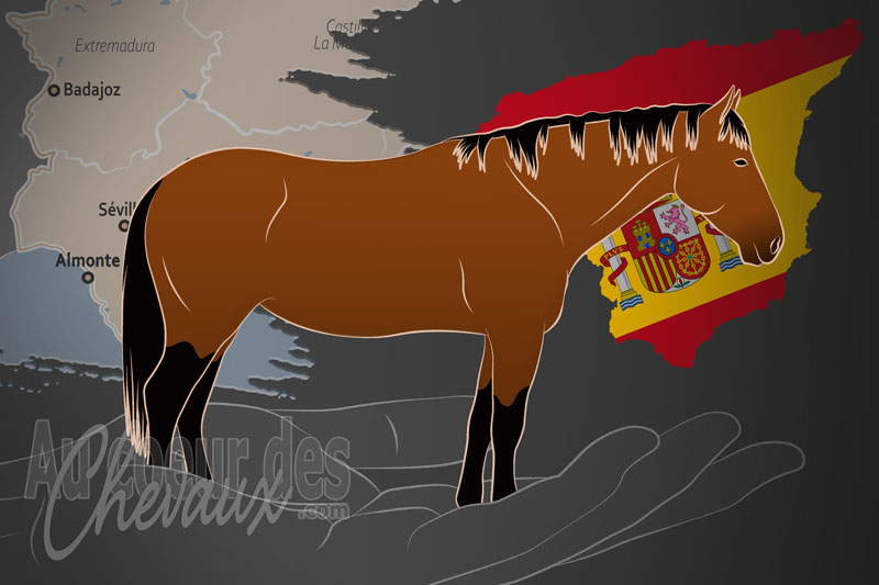 L'Association Nationale des �leveurs de Marisme�o, un organisme de gestion du marisme�a en espagne
