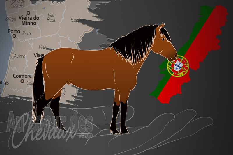 L'Association Nationale des �leveurs du Cheval Garrano, une organisation qui g�re le cheval garrano au portugal
