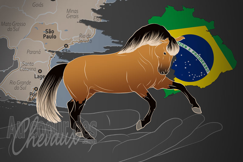 L'Association Br�silienne des �leveurs de Chevaux Lusitaniens, un organisme de gestion du lusitanien au br�sil