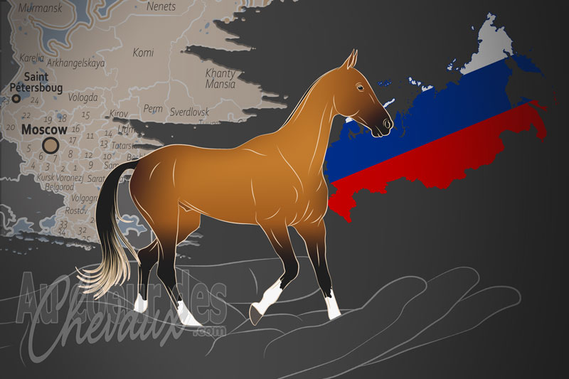 L'Association d'�levage de Chevaux Akhal T�k� de Russie, un organisme de gestion de race de chevaux en Russie